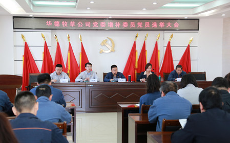 標(biāo)題：華德牧草公司召開黨員大會(huì)
瀏覽次數(shù)：1471
發(fā)表時(shí)間：2024-04-29